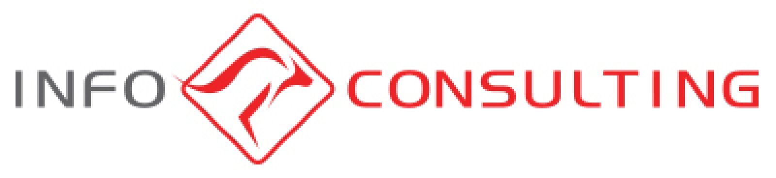 Logo Info Consulting Srl 