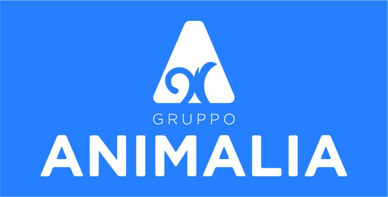 Logo BIRSA SPA