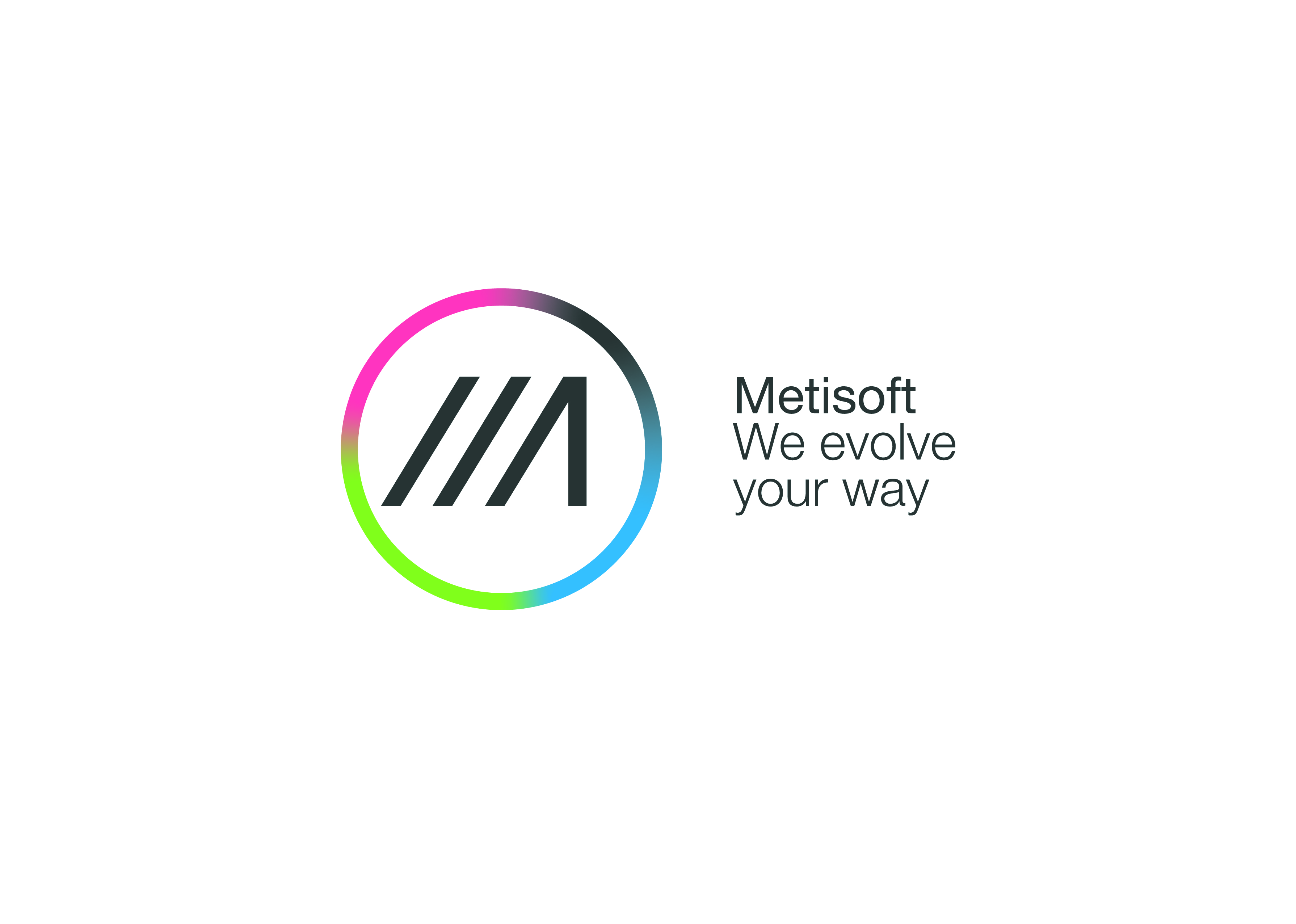 Logo Metisoft S.p.A